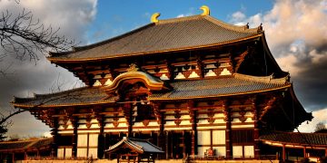 Nara – Bình Yên Tâm Linh và Gặp Gỡ Hươu Shika Tự Do trong Cảnh Quan Tươi Đẹp của Nhật Bản